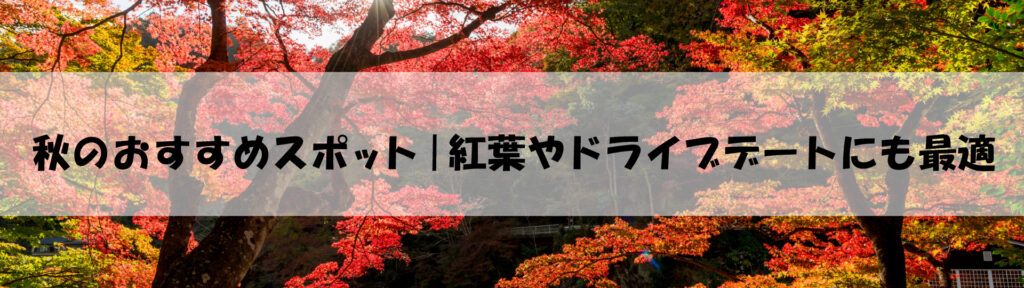 秋のおすすめスポット｜紅葉やドライブデートにも最適