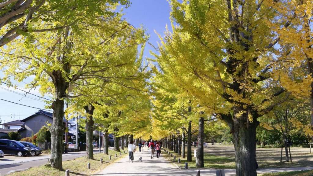 各務原市のお見合い場所おすすめ3選